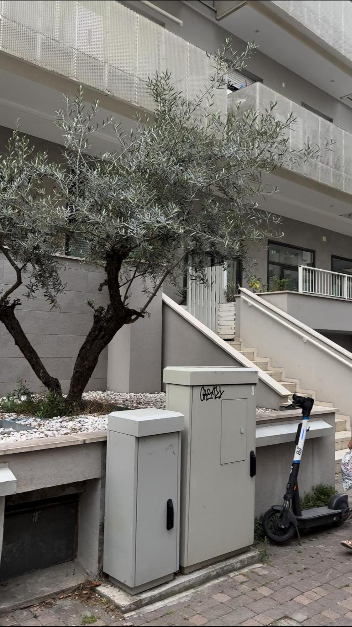 Ferienwohnung Rimini Marina Exterior foto